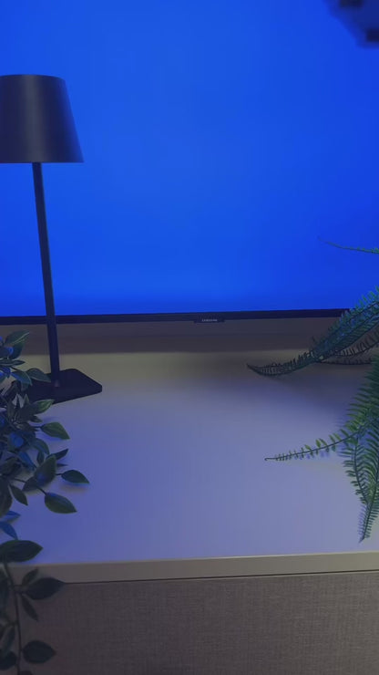 Fireplace Simulation Flame Aromatherapy Machine